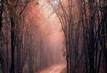 [CBA]常规赛12月4日：浙江VS吉林 集锦.