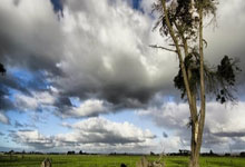 TA:利物浦所有者芬威集团考虑收购马拉加,此前已评估相关事项.