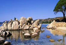 FIFPRO高层:皇马有权保护自己的球员,FIFA一直忽视我们的请求.